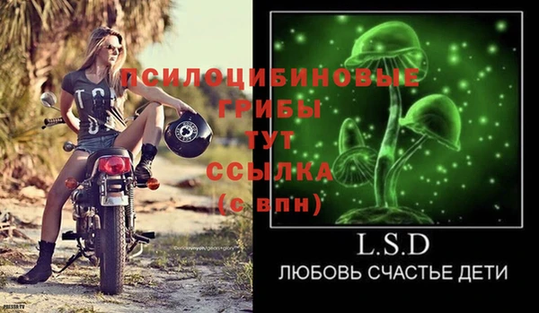 шишки Абдулино