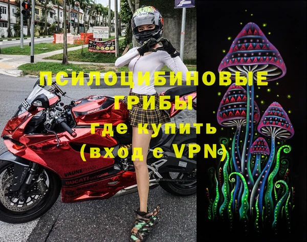 шишки Абдулино