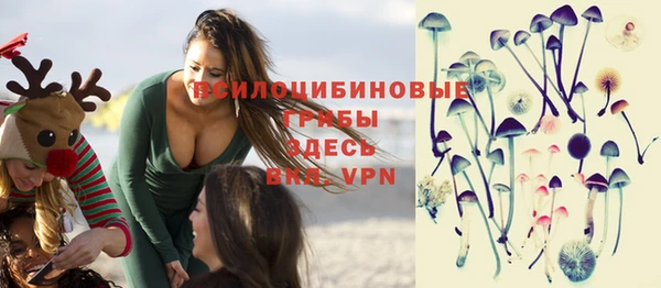 шишки Абдулино
