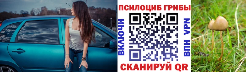 Галлюциногенные грибы Cubensis  где купить   Алатырь 